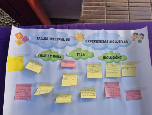Actividad Inclusión