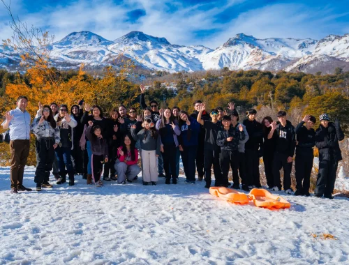 Terapia de Bosque en la nieve