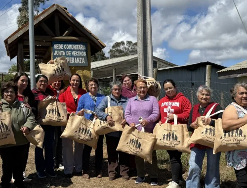 Programa Crece Mujer inicia la entrega de materiales en distintas localidades de Cobquecura.