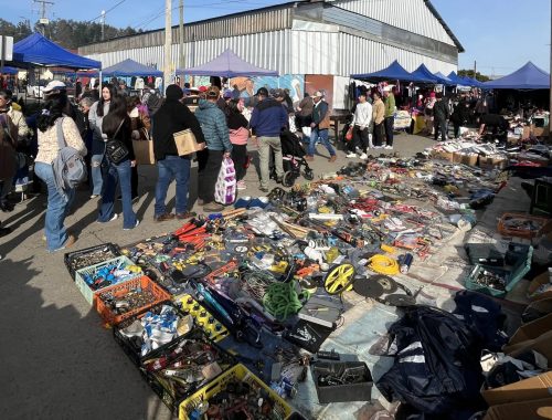 ¡La Feria de Pago!